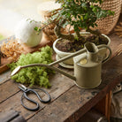 Goodee-Haws-The Rowley Ripple Two Pint - Color - Lichen Green