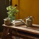 Goodee-Haws-The Rowley Ripple Two Pint - Color - Lichen Green