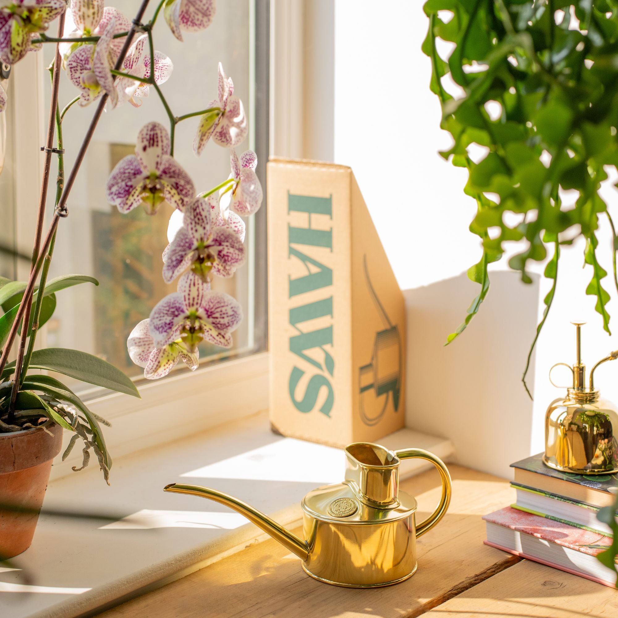 Goodee-Haws-The Fazeley Flow (One Pint) - Color - Brass