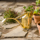 Goodee-Haws-The Rowley Ripple (Two Pint) - Color - Brass