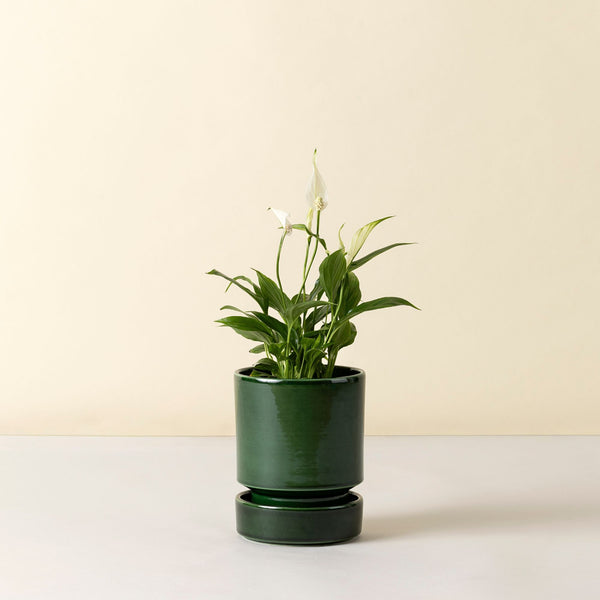 Hoff Ø14 Planter – Goodee