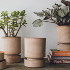 Goodee-Bergs Potter-Hoff Ø18 SaucerHoff Ø18 Saucer - Color - Raw Rosa