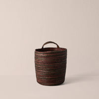 Zebra Mulberry / Large