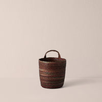 Zebra Mulberry / Small