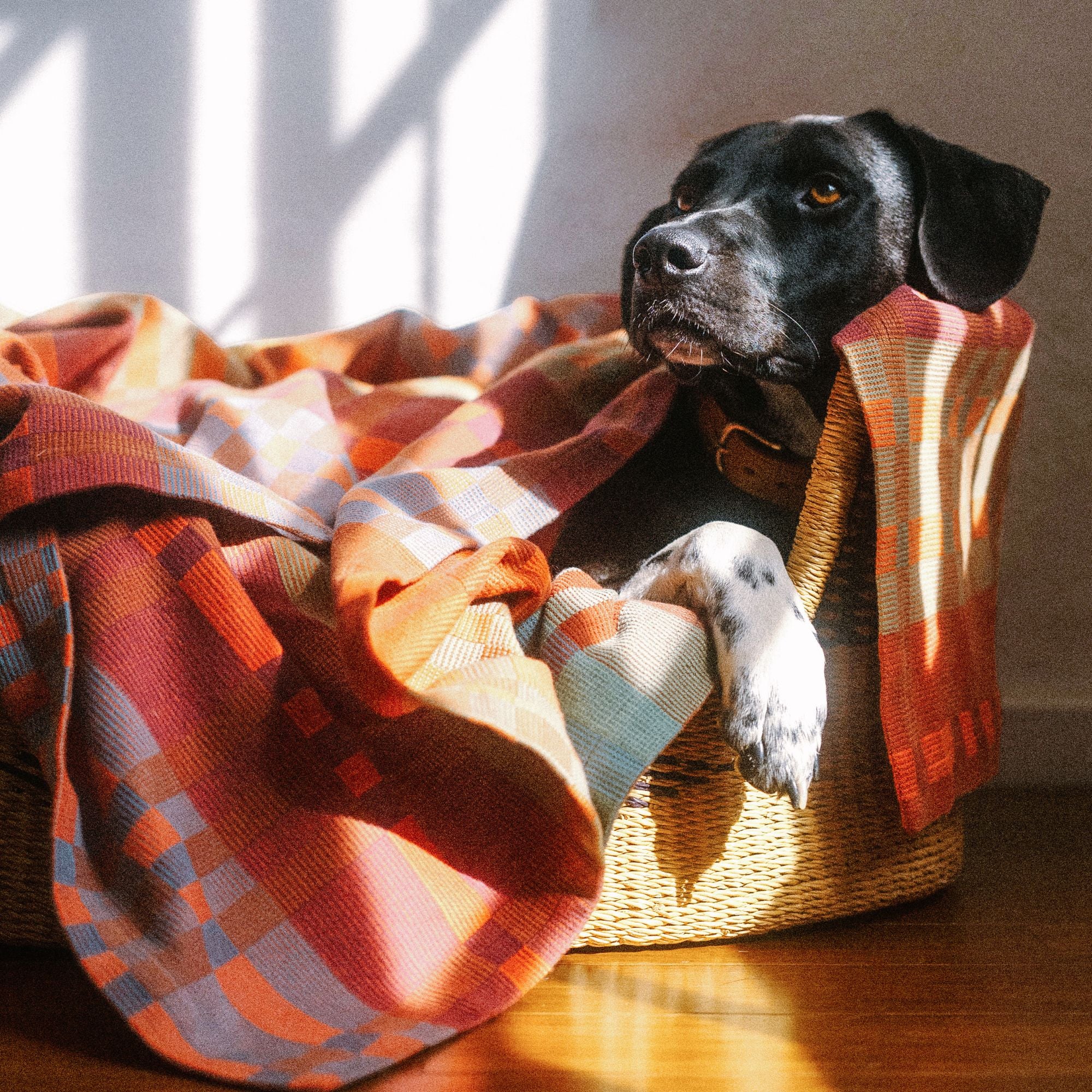 Goodee-Mungo-Fido Woven Cotton Dog Blanket- Ginger - Large - Color - Ginger