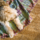 Goodee-Mungo-Fido Woven Cotton Dog Blanket-Stella - Color - Stella