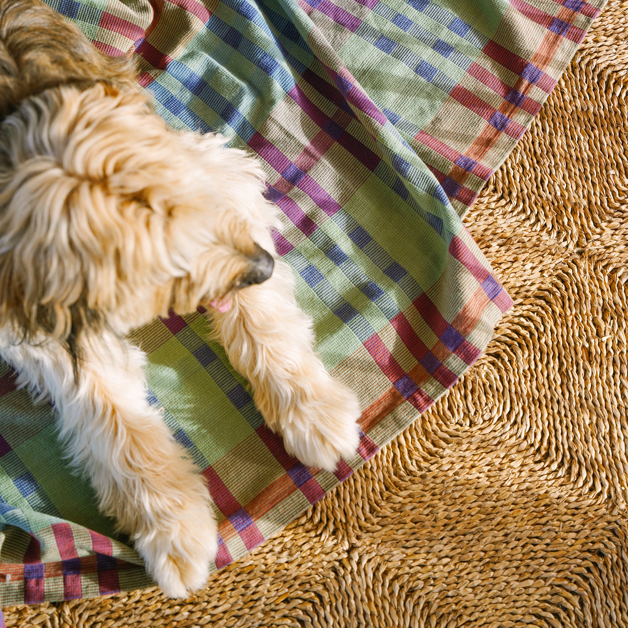 Goodee-Mungo-Fido Woven Cotton Dog Blanket-Stella - Color - Stella