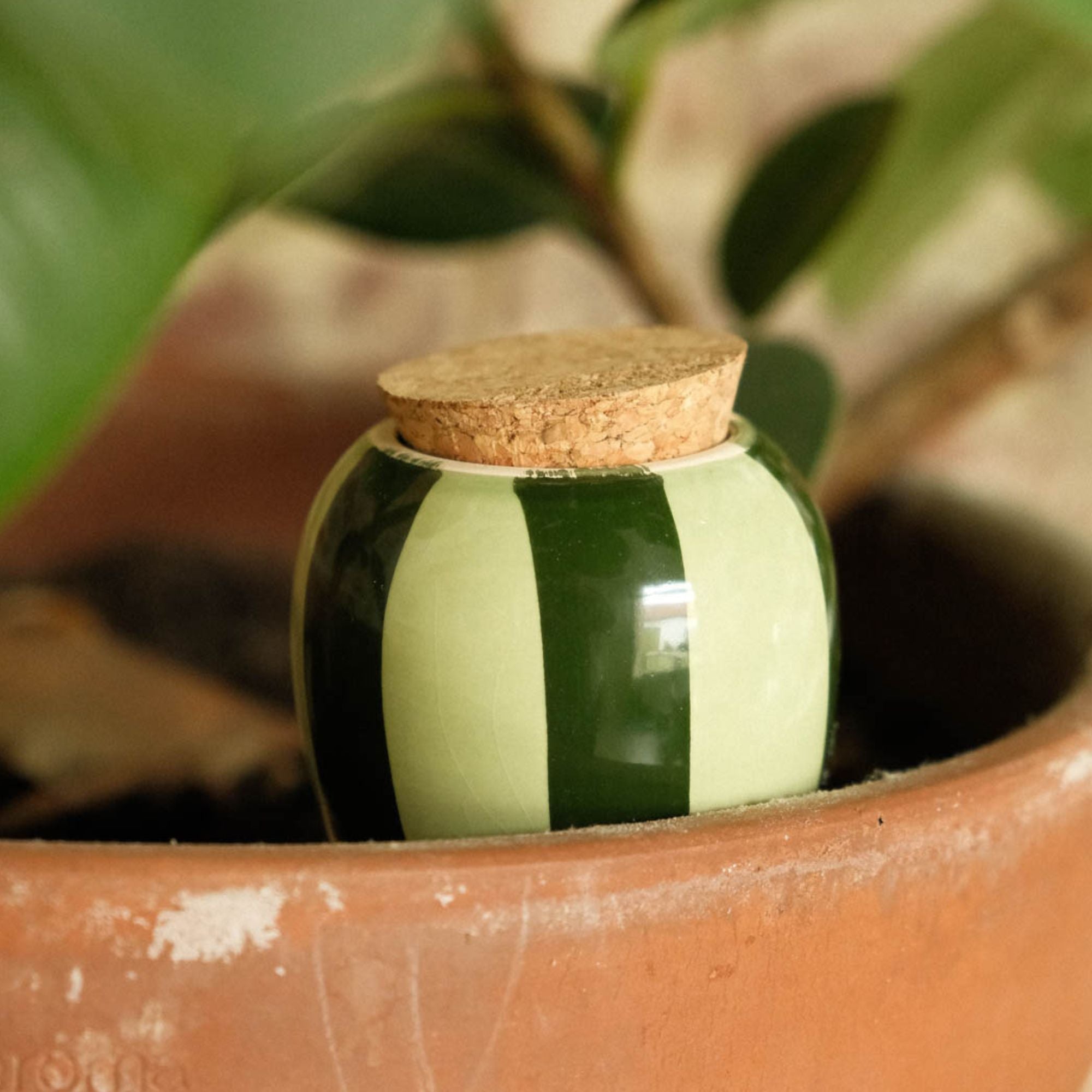 Goodee-Pepin-Olla Self-Watering Pot - Glaze - Color - Green & Green Stripes