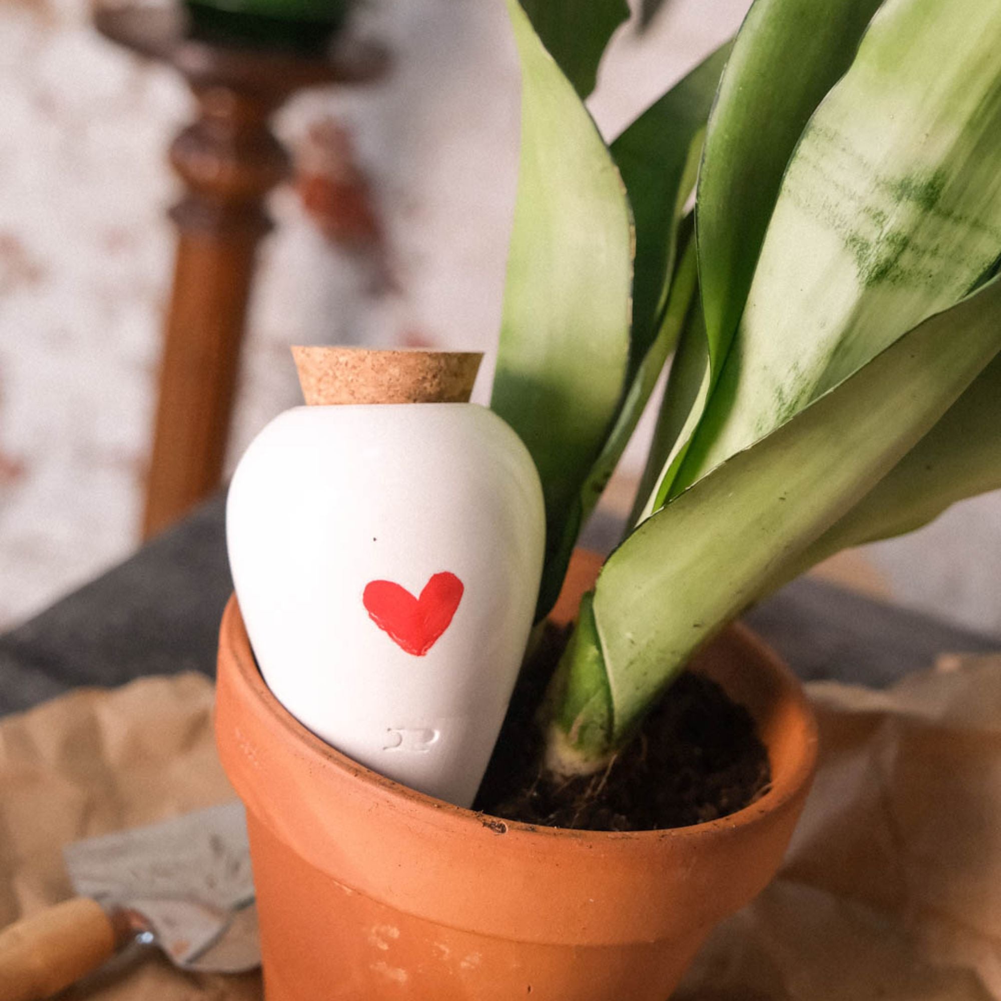 Goodee-Pepin-Olla Self-Watering Pot - Glaze - Color - Heart