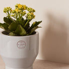 Goodee-Skagerak by Fritz Hansen-Edge Pot 18 - Color - Light Grey