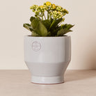 Goodee-Skagerak by Fritz Hansen-Edge Pot 18 - Color - Light Grey