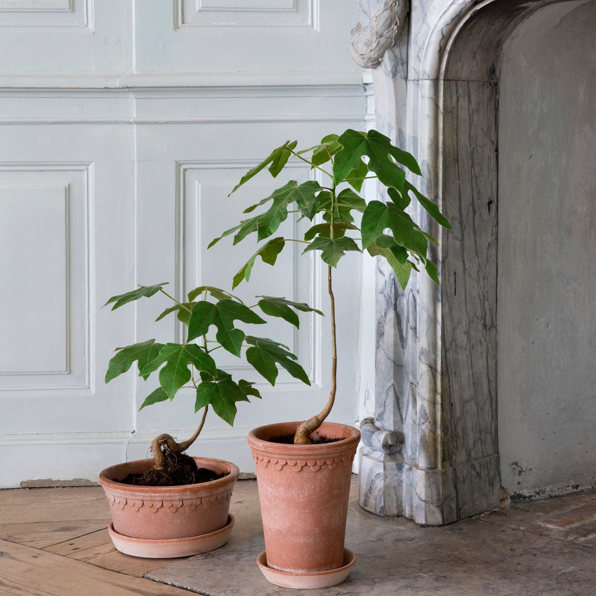 Goodee-Bergs Potter-Copenhagen Ø21 Low Planter & Saucer - Color - Raw Rosa