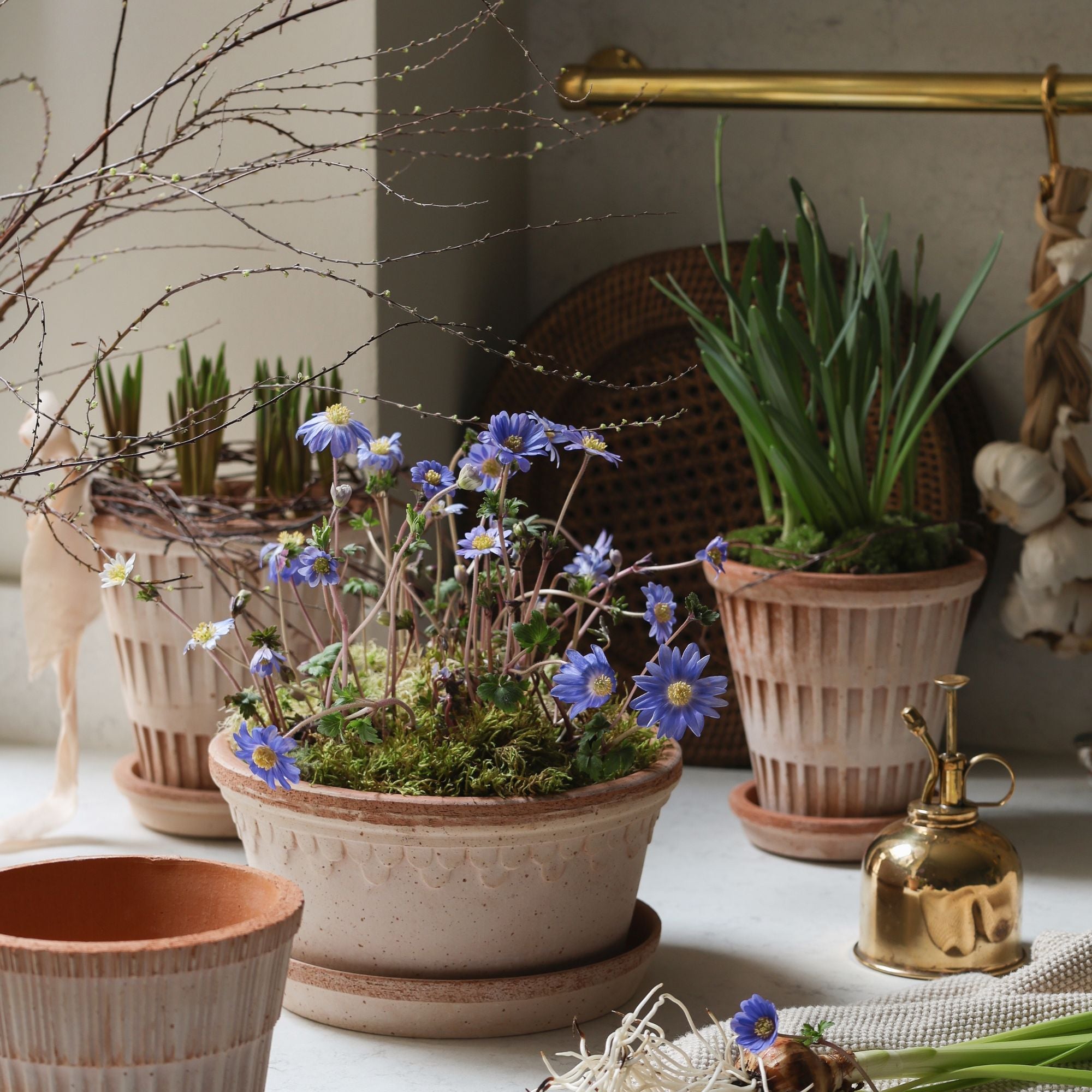 Goodee-Bergs Potter-Copenhagen Ø21 Low Planter & Saucer - Color - Raw Rosa