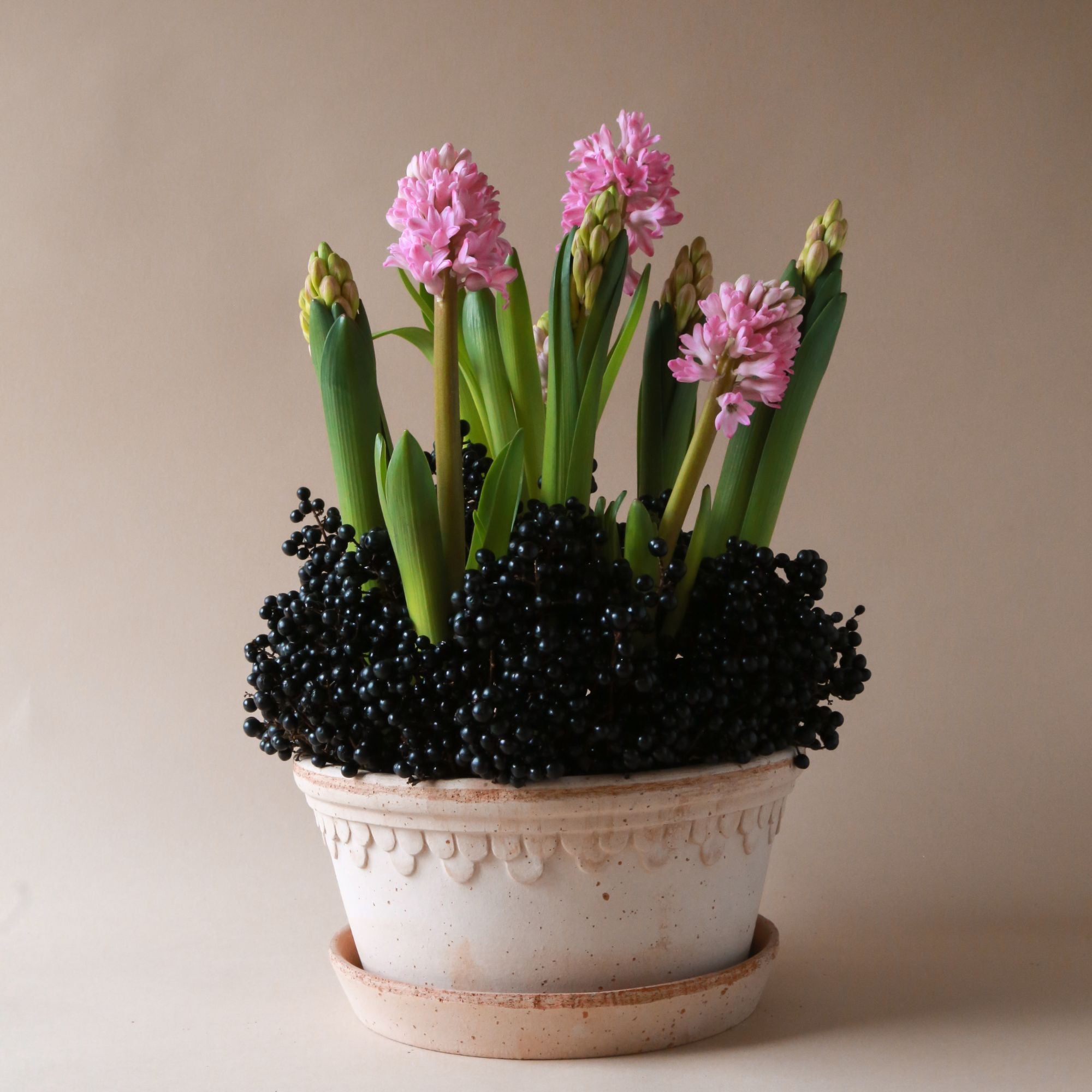 Goodee-Bergs Potter-Copenhagen Ø21 Low Planter & Saucer - Color - Raw Rosa