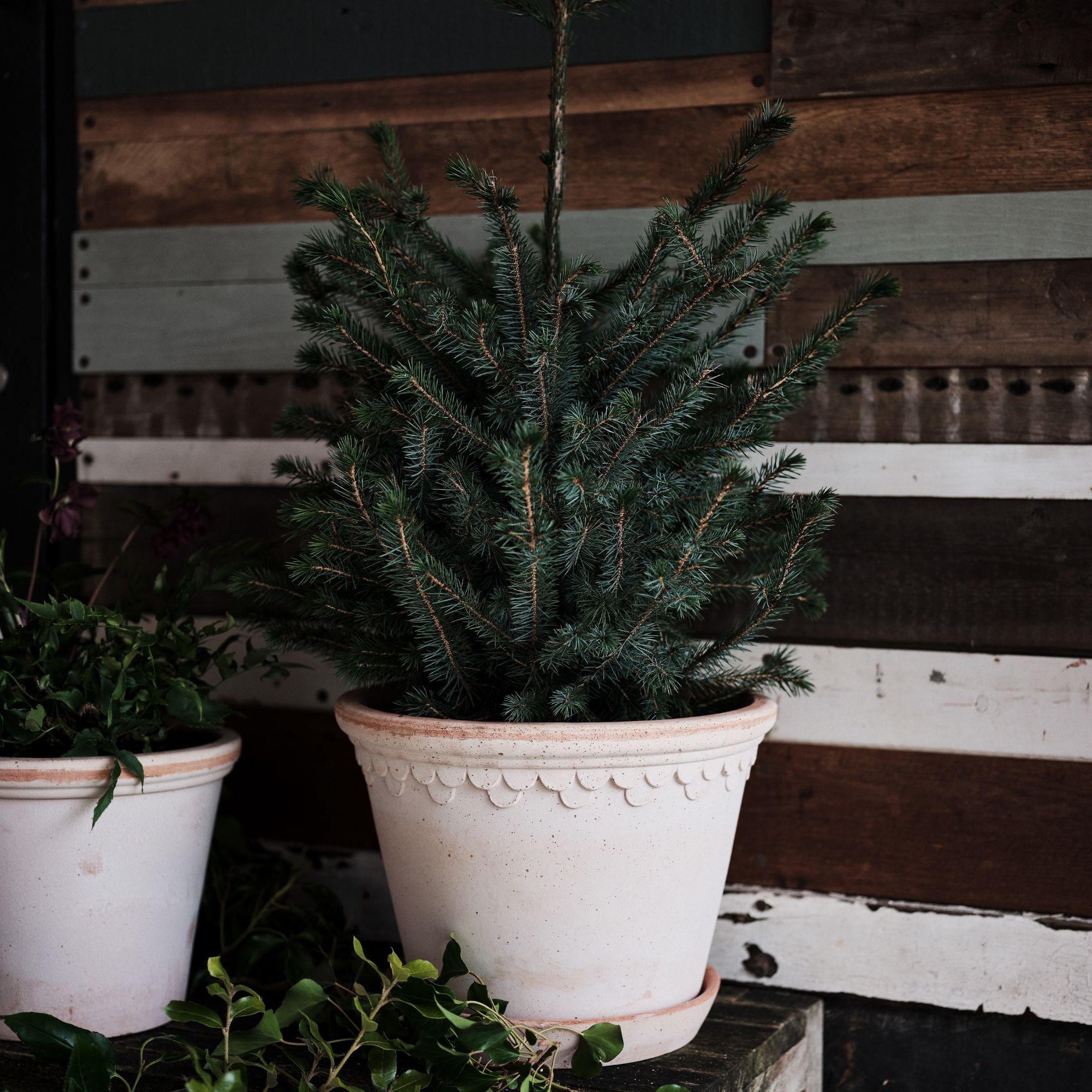 Goodee-Bergs Potter-Copenhagen Ø30 Planter & Saucer - Color - Raw Rosa
