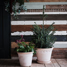 Goodee-Bergs Potter-Copenhagen Ø30 Planter & Saucer - Color - Raw Rosa