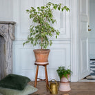 Goodee-Bergs Potter-Copenhagen Ø30 Planter & Saucer - Color - Raw Rosa