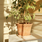 Goodee-Bergs Potter-Copenhagen Ø30 Planter & Saucer - Color - Raw Rosa