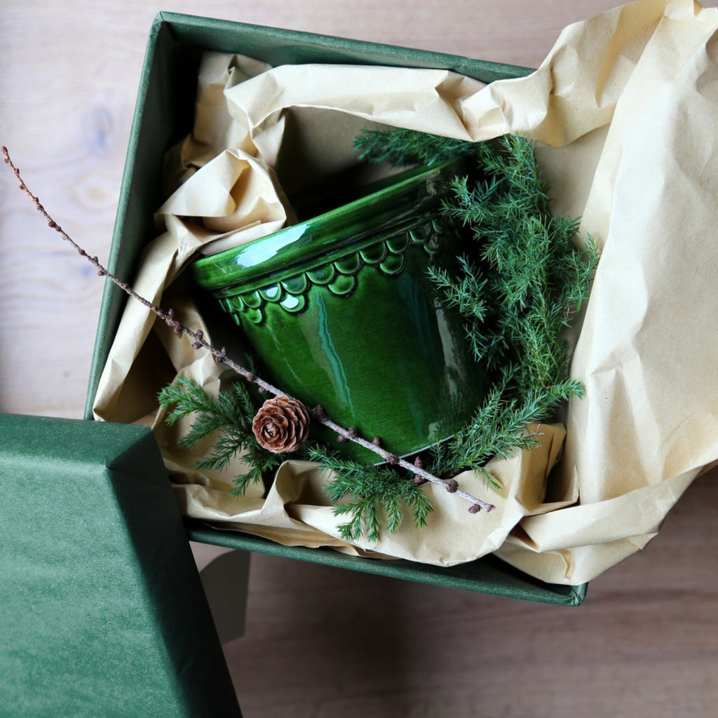 Goodee-bergs-potter-copenhagen-planter-and-saucer
Color: emerald-glazed