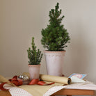 Goodee-Bergs Potter-Copenhagen Tall Planter & Saucer - Color - Raw Rosa