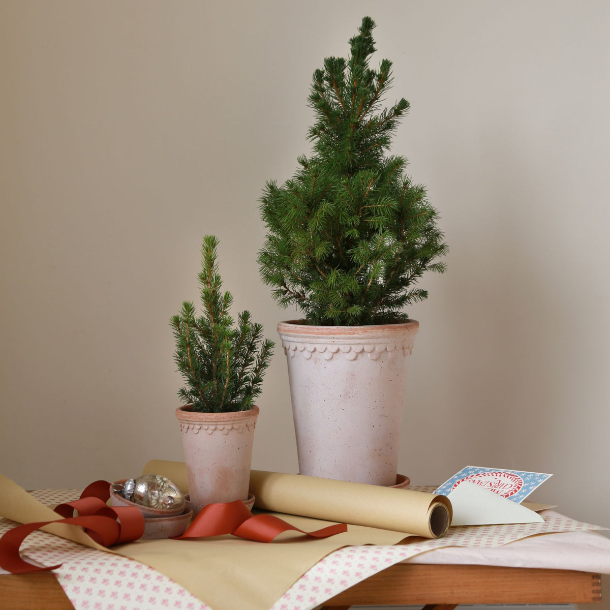 Goodee-Bergs Potter-Copenhagen Tall Planter & Saucer - Color - Raw Rosa