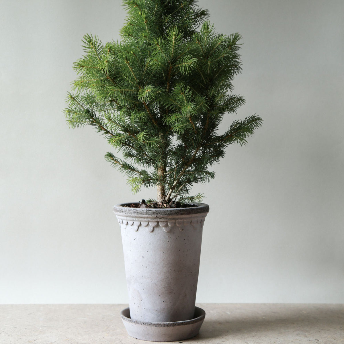 Goodee-Bergs Potter-Copenhagen Ø14 Tall Planter & Saucer - Color - Raw Grey
