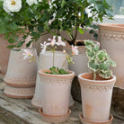 Goodee-Bergs Potter-Copenhagen Ø14 Tall Planter & Saucer - Color - Raw Rosa