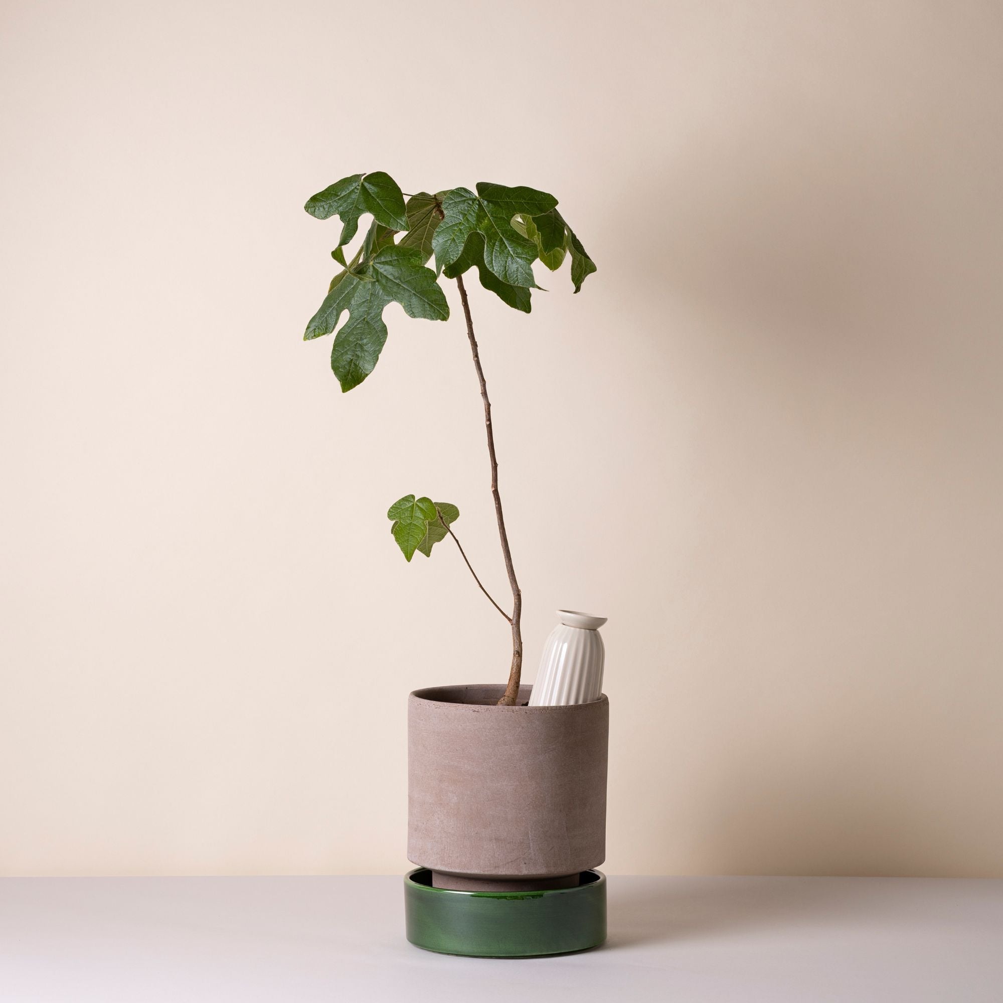Goodee-Bergs Potter-Cove 300 ml Self-Watering Tool - Color - Sandstone Glazed