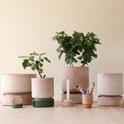Goodee-Bergs Potter-Hoff Planter & Saucer - Color - Raw Rosa