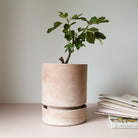 Goodee-Bergs Potter-Hoff Ø18 Saucer - Color - Raw Rosa