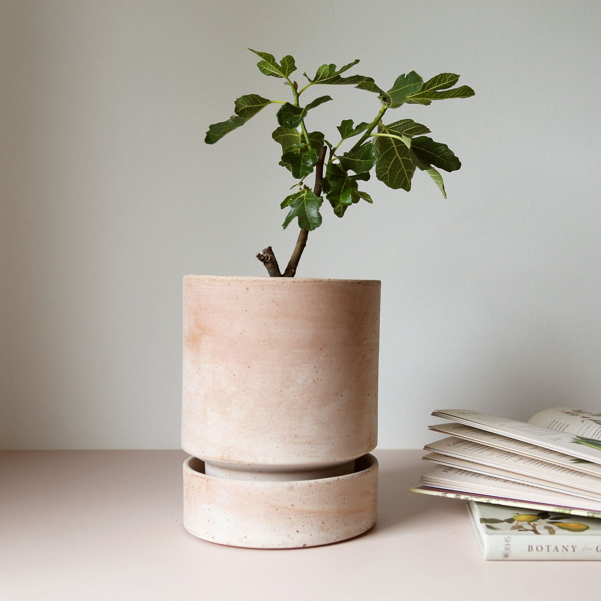 Hoff Ø18 Saucer, Raw Rosa