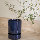 Goodee-Bergs Potter-Hoff Ø14 Planter & Saucer Gift Set - Color - Sapphire Blue Glazed