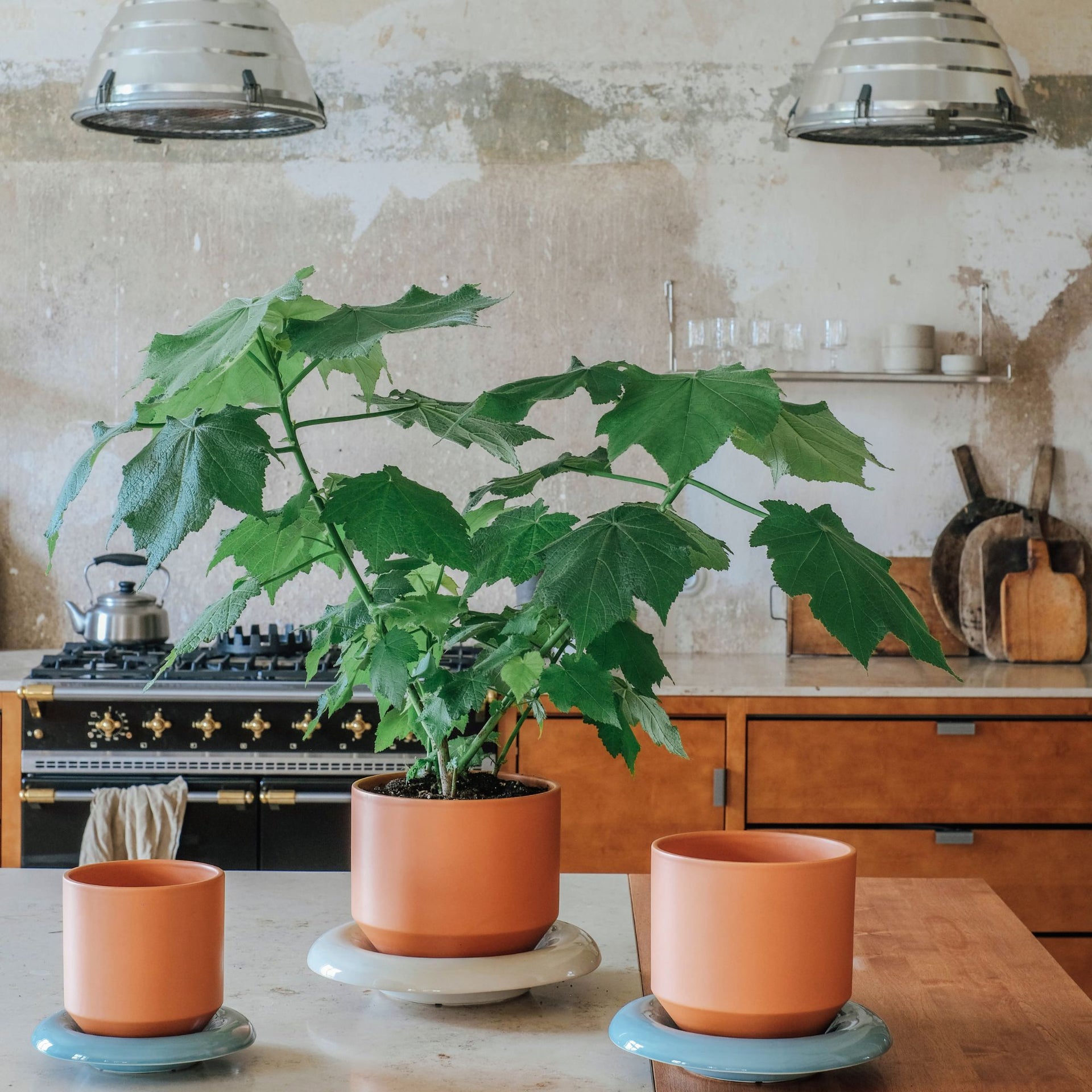 ostlig plant pot Lily Ø14 Planter – Goodee