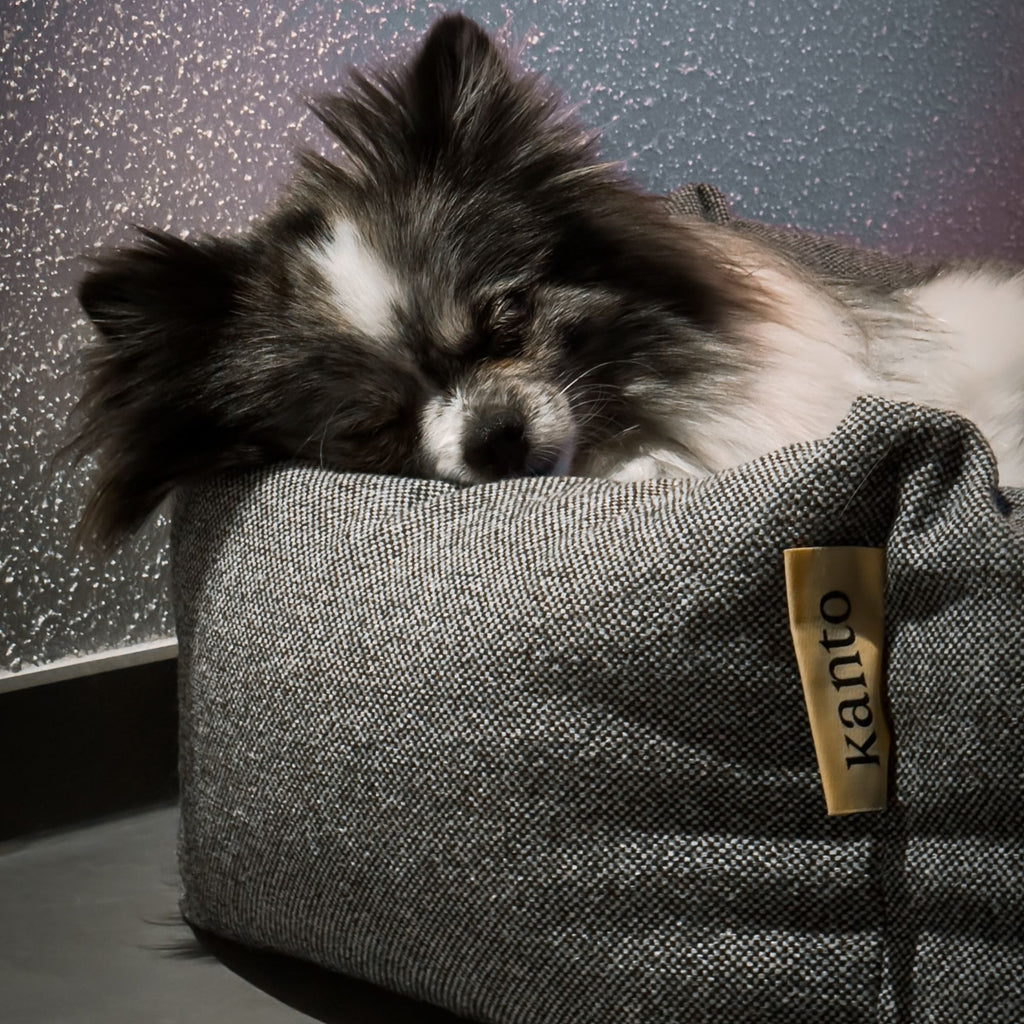 Goodee-kanto-luoto-dog-bed-premium
Color:salt-pepper