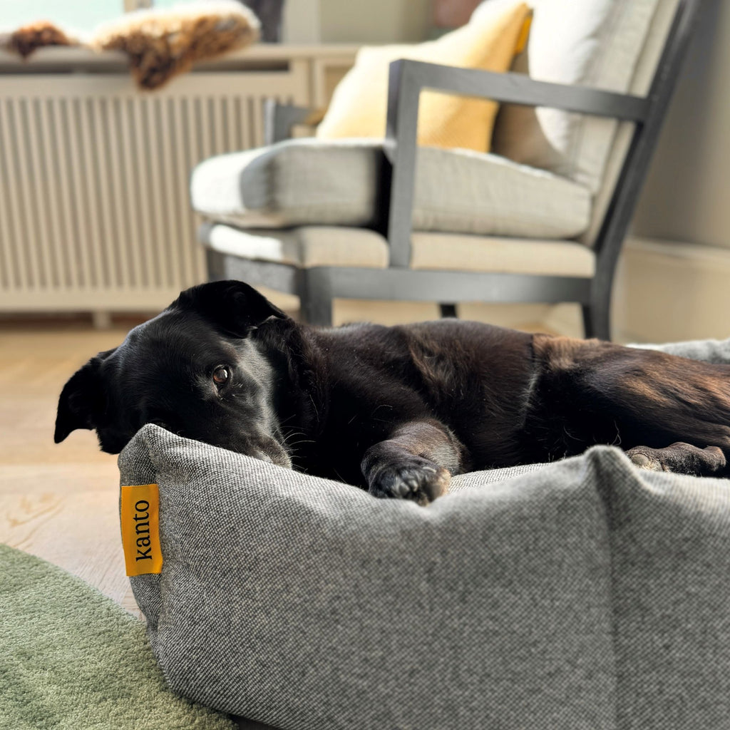 Goodee-kanto-luoto-dog-bed-premium
Color:salt-pepper