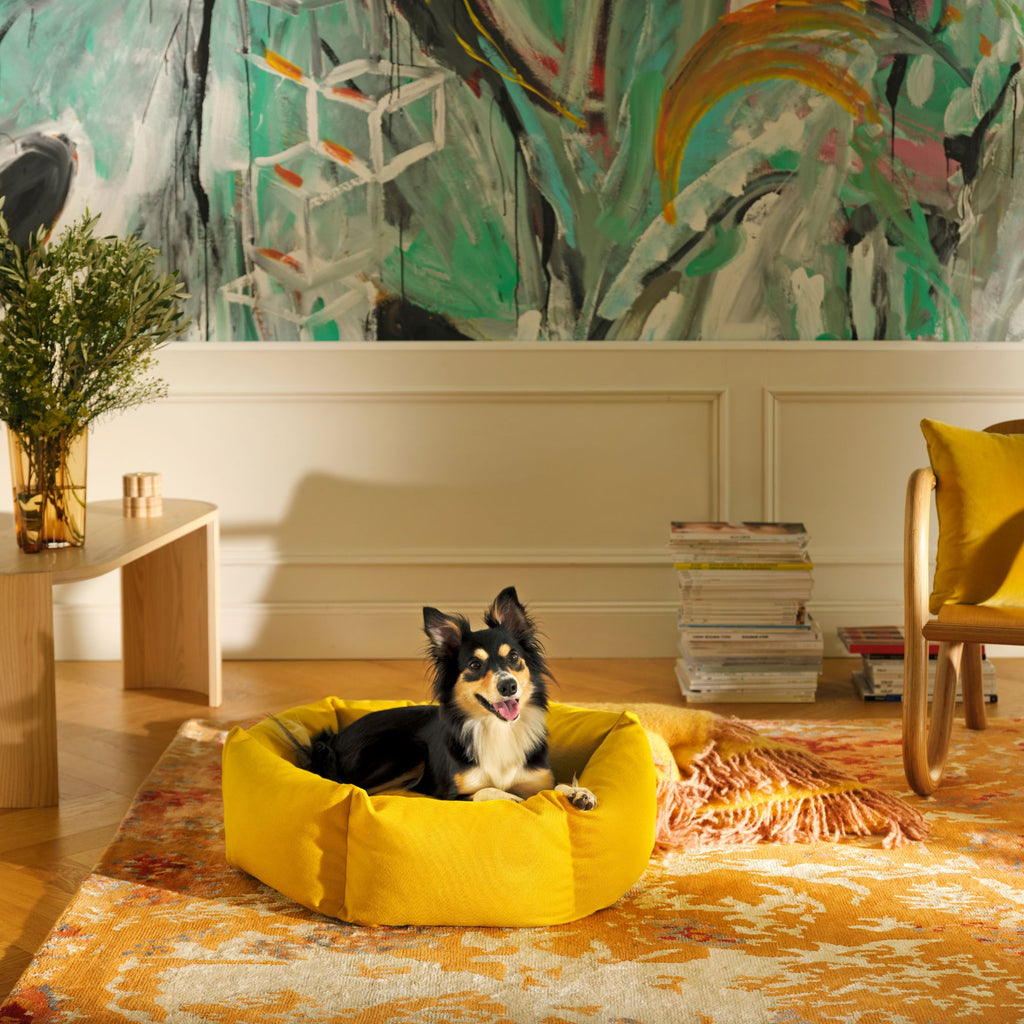 Goodee-kanto-luoto-dog-bed-signature
Color: honey