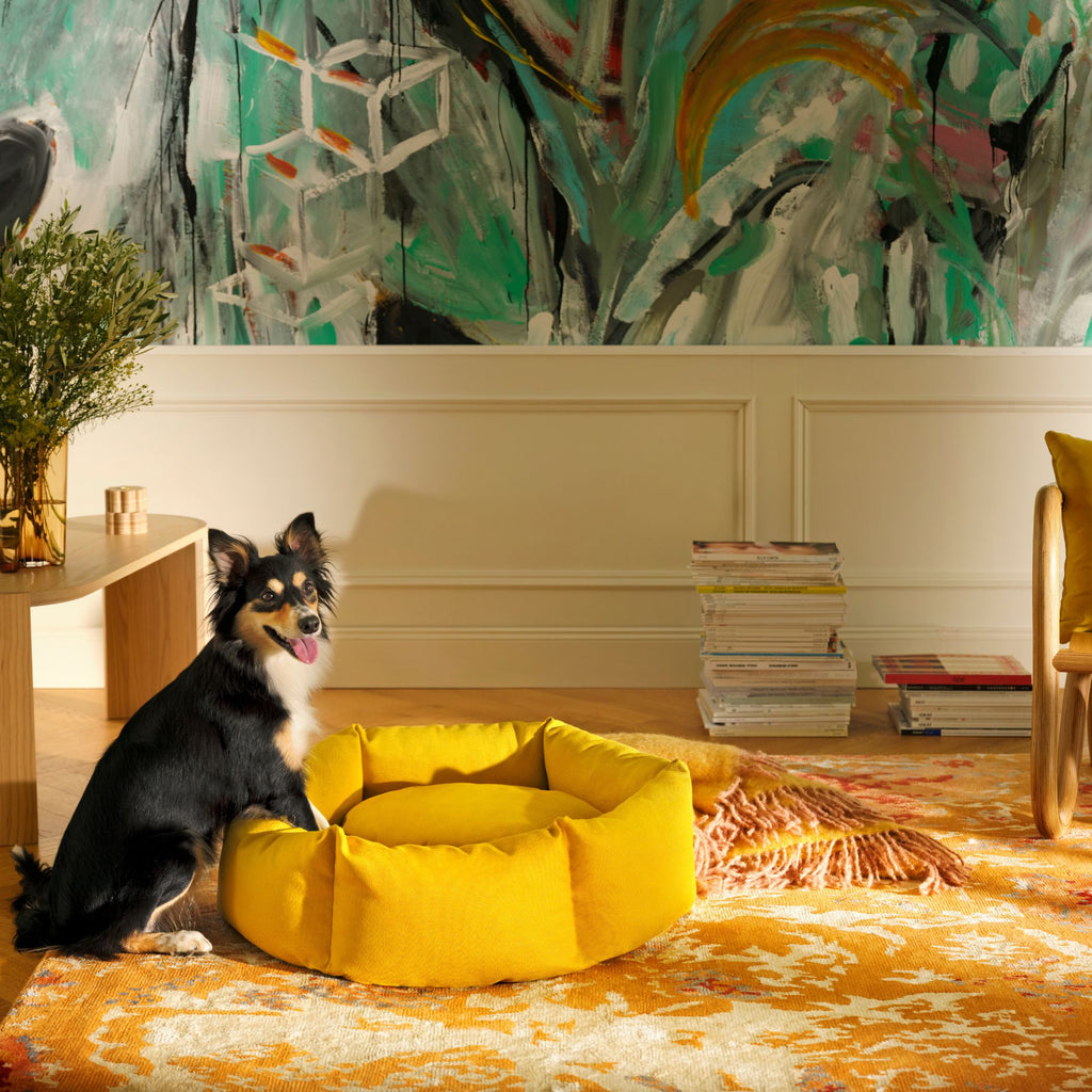 Goodee-kanto-luoto-dog-bed-signature
Color: honey