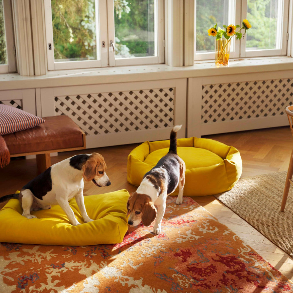 Goodee-kanto-luoto-dog-bed-signature
Color: honey