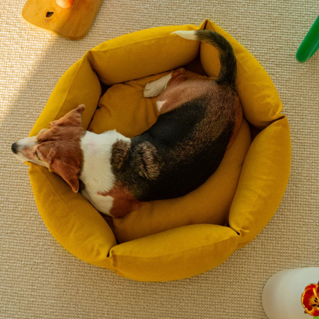 Goodee-kanto-luoto-dog-bed-signature
Color: honey