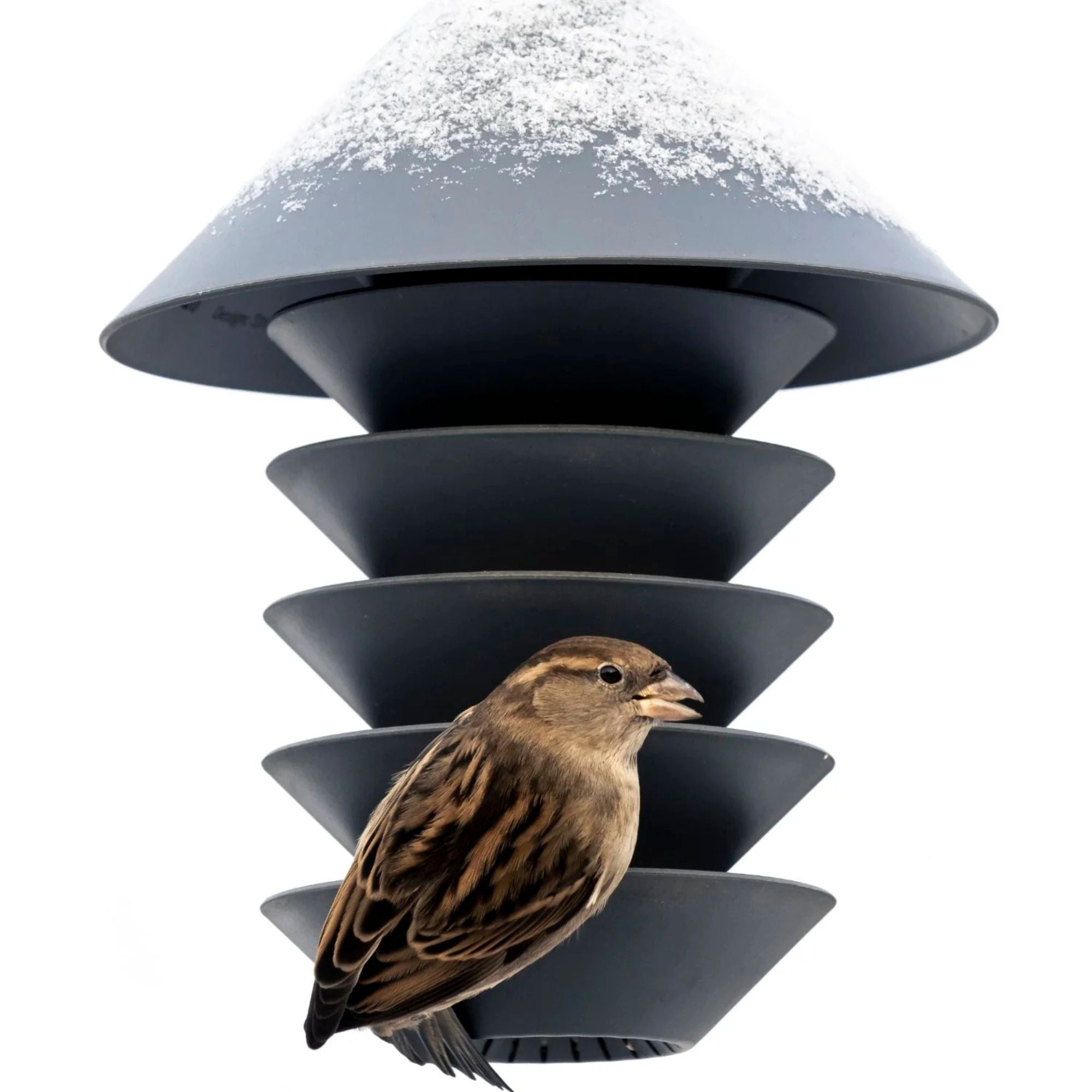 Goodee-Pidät-Silo Bird Feeder - Color - Slate