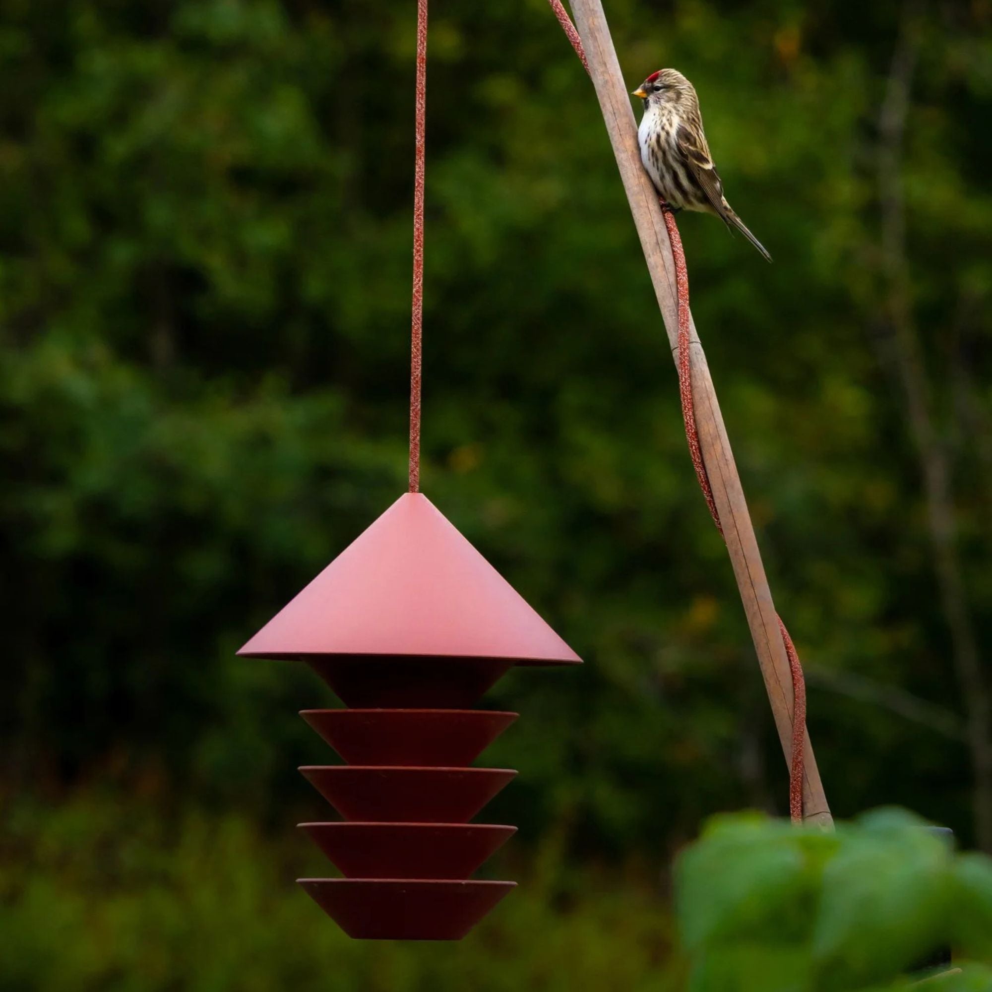 Goodee-Pidät-Silo Bird Feeder - Color - Terracotta