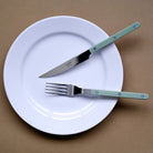 Goodee-Sabre Paris-Bistrot Solid Flatware - Set of 4 - Color - Asparagus/Shiny