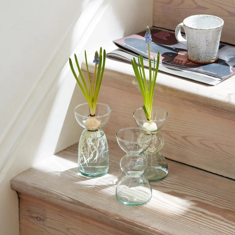 LSA International Canopy Recycled Vase/Bulb Planter, 10 cm LSA International Canopy Recycled Vase/Bulb Planter, 10 cm