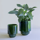 Goodee-Bergs Potter-Hoff Planter 18 - Color - Emerald Glazed