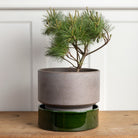 Goodee-Bergs Potter-Hoff Ø30 Planter - Color - Raw Grey