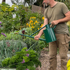 Goodee-Haws-The Warley Fall (Two Gallon) - Color - Green