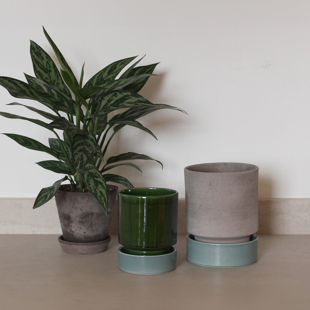 Hoff Planter + Saucer Ø14