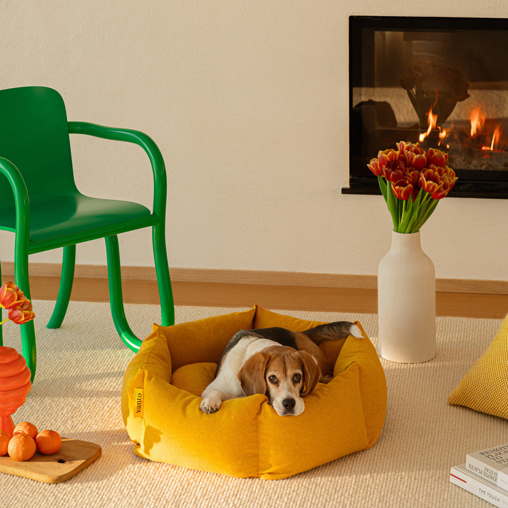 Goodee-kanto-luoto-dog-bed-signature
Color: honey