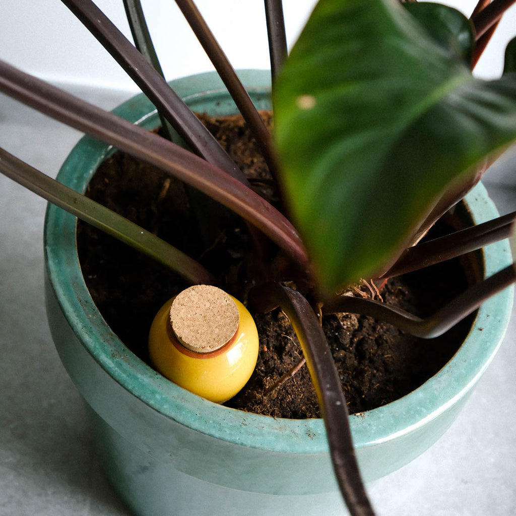 Goodee Pot autarcique - Glaze - Color - Mustard
