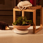 Goodee-Bergs Potter-Ada Ø30 Bowl & Saucer - Color - Raw Rosa